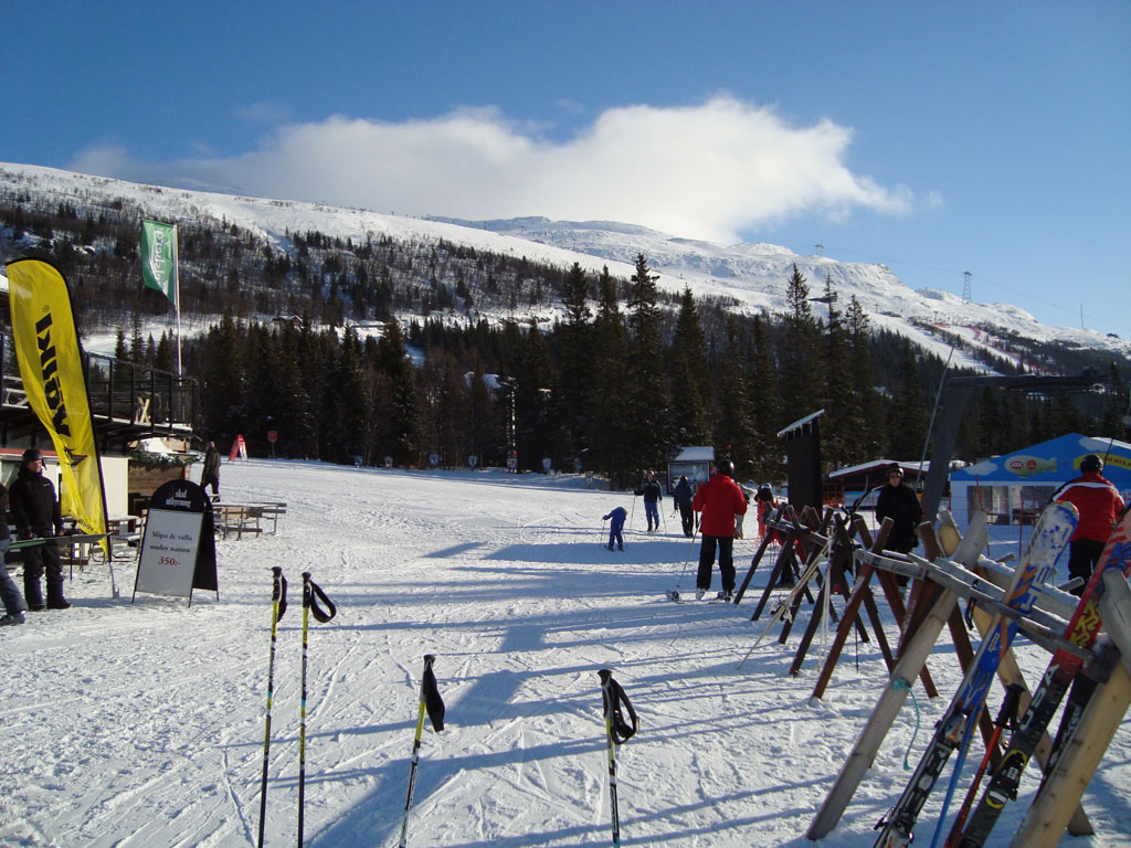 Fjällen 2009