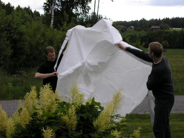 Midsommar (Hannas bilder)