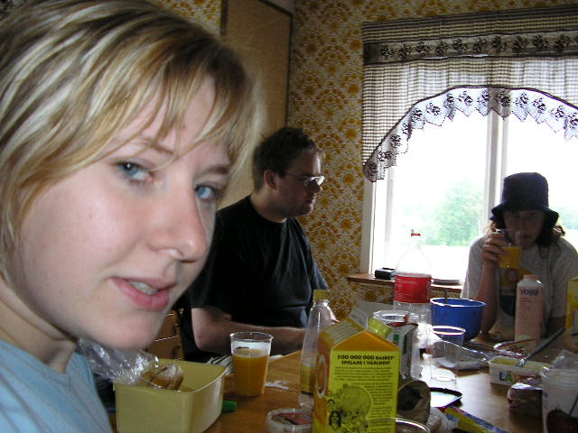 Midsommar (Hannas bilder)