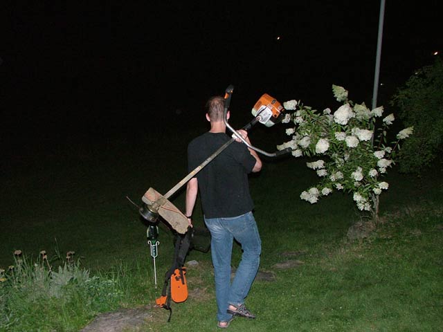 Magnus och Wahlles födelsedagsfest