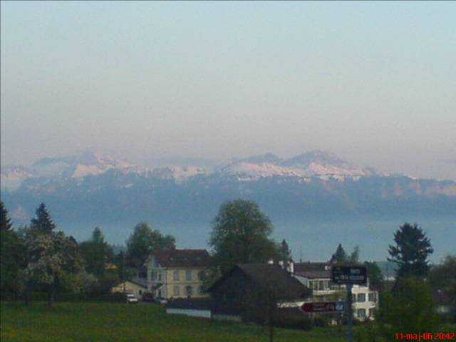 wahlle