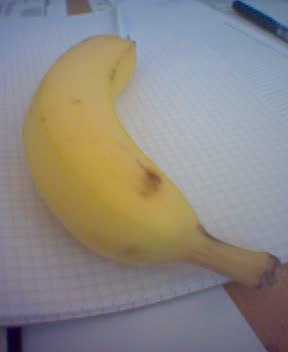 AntiZ