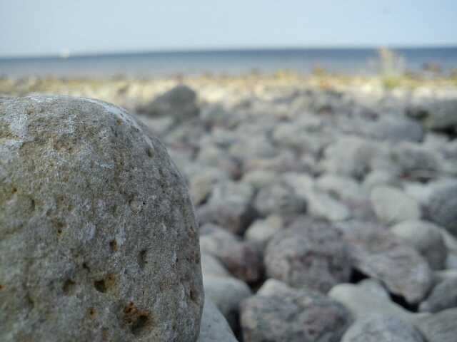 AntiZ